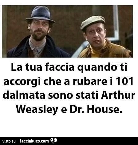 La tua faccia quando ti accorgi che a rubare i 101 dalmata sono stati Arthur Weasley e Dr. House