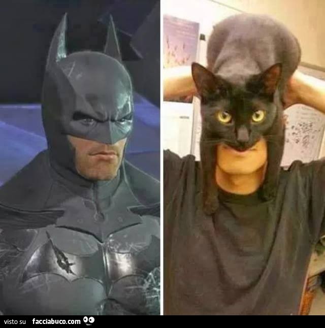 Batman. Ragazzo con un gatto nero sulla testa