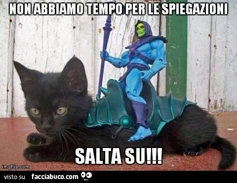 Non abbiamo tempo per le spiegazioni. Salta su