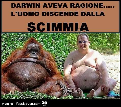 Darwin aveva ragione, l'uomo discende dalla scimmia!