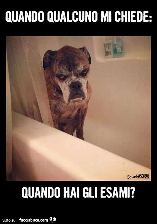 Quando qualcuno mi chiede: quando hai gli esami?