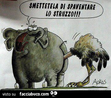 Elefante: smettila di spaventare lo struzzo