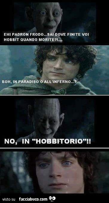 Ehi padron Frodo, sai dove finite voi hobbit quando morite?