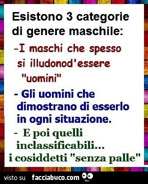 Esistono 3 categorie di genere maschile: i maschi che spesso si illudono d'essere uomini. Gli uomini che dimostrano di esserlo in ogni situazione. E poi quelli inclassificabili, i cosiddetti senza palle