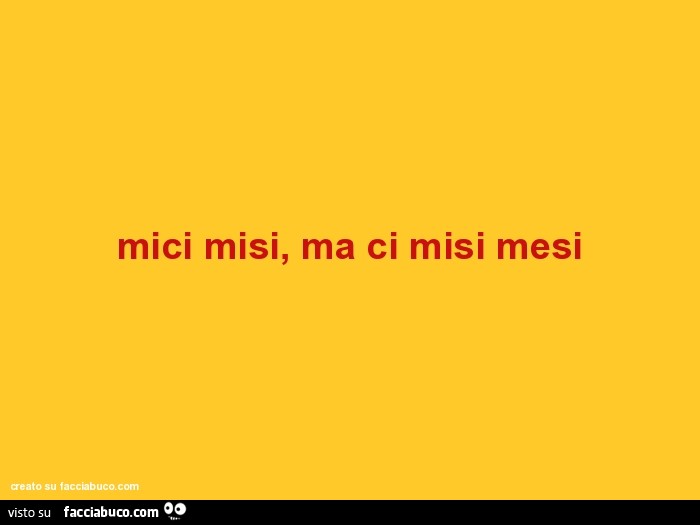 Mici misi, ma ci misi mesi