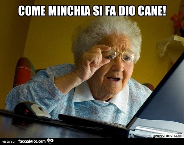 Vecchia al pc: come minchia si fa Dio cane