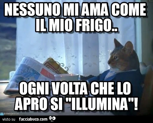 Nessuno mi ama come il mio frigo, ogni volta che lo apro si illumina