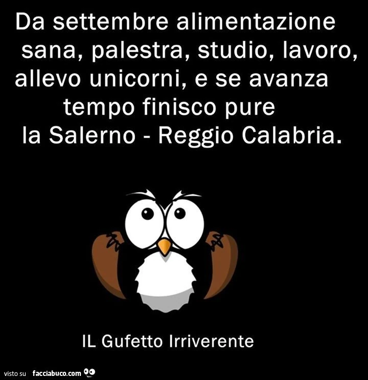 Da Settembre alimentazione sana, palestra, studio, lavoro, allevo unicorni e se avanza tempo finisco pure la Salerno Reggio Calabria