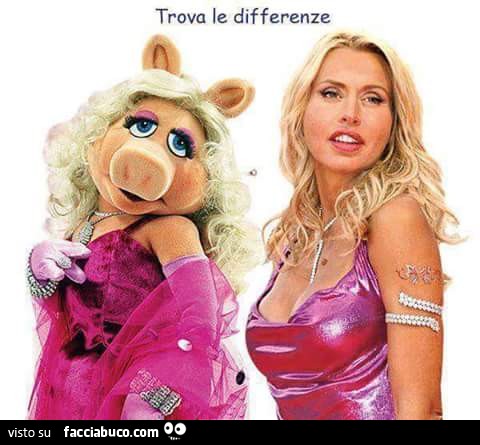 Trova le differenze tra Valeria Marini e il Miss Piggy
