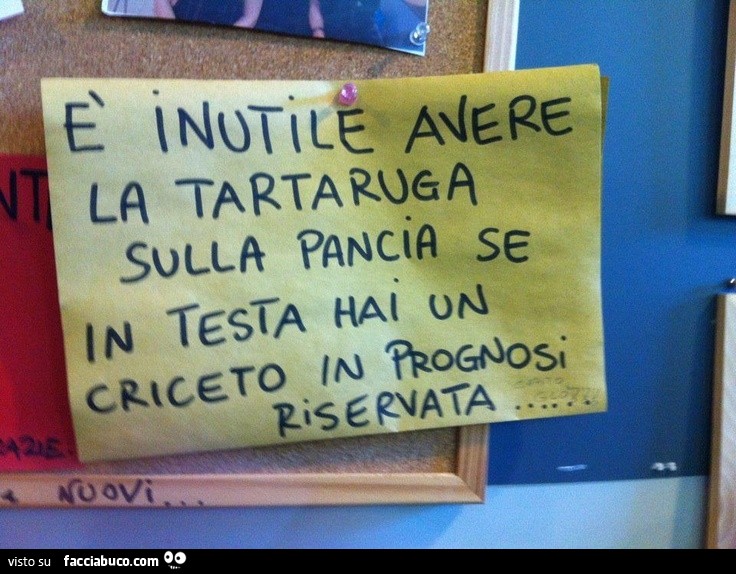 è inutile avere la tartaruga sulla pancia se in testa hai un criceto in prognosi riservata