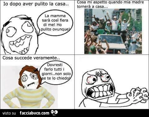 cosa mi aspetto dopo aver pulito casa meme