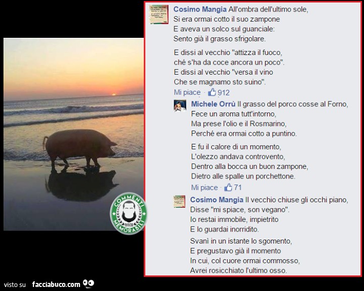 Poesia sul maiale
