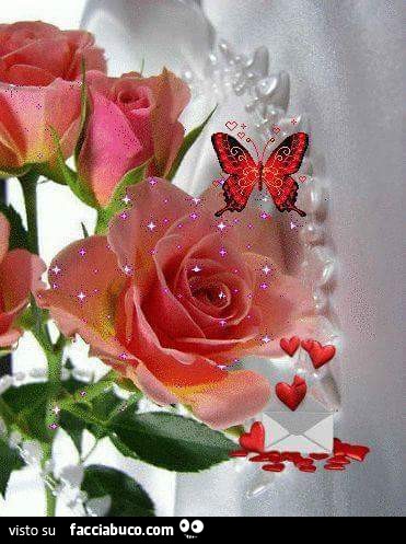 Rose rosa con farfalla