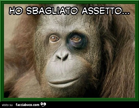 Gorilla con l'occhio nero: ho sbagliato assetto