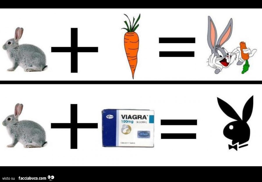 Coniglio carota = Bugs Bunny. Coniglio Viagra = Coniglietto PlayBoy
