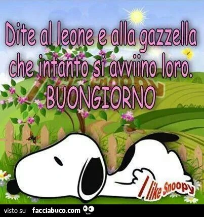 Dite al leone e alla gazzella che intanto si avviino loro. Buongiorno
