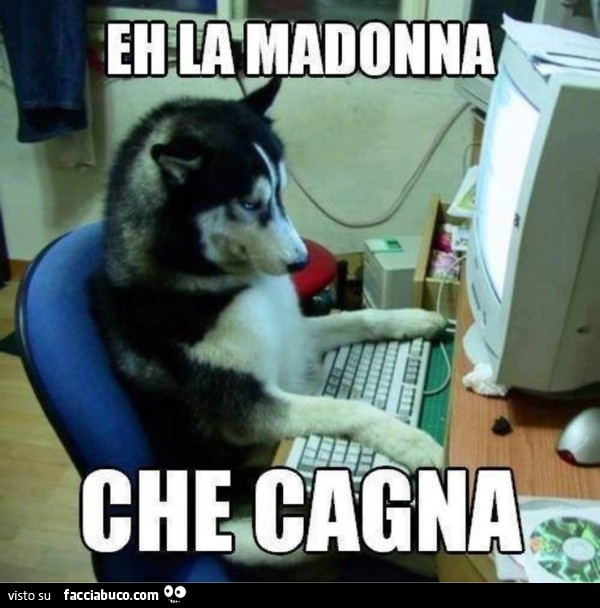 Eh la madonna che cagna