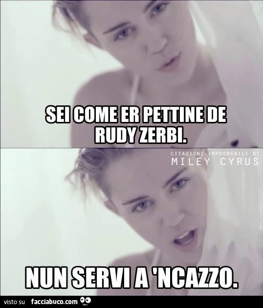 sei come er pettine di rudy zerbi... non servi a ncazzo