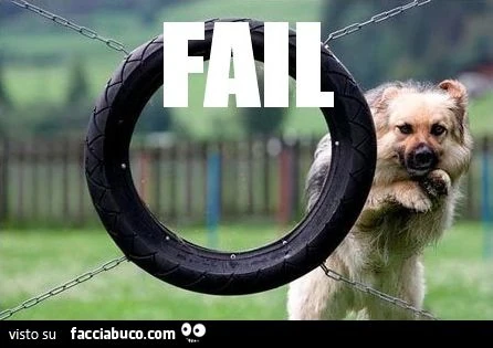 il cane salta nel buco sbagliato epic fail