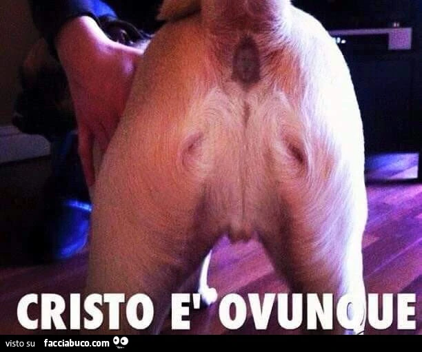 Cristo è ovunque, anche nel culo di un cane