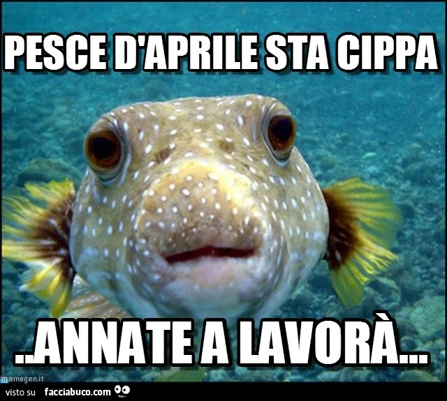 Pesce D'Aprile sta cippa. Annate a lavorà