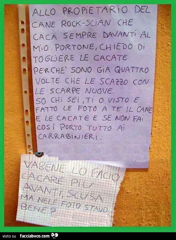 Allo proprietario del cane rock-scian che caca sempre davanti al mio portone, chiedo di togliere le cacate perchè sono già quattro volte che le scazzo con le scarpe nuove. So chi sei, ti o visto e fatto le foto a te il cane e le cacate e se non fai così p