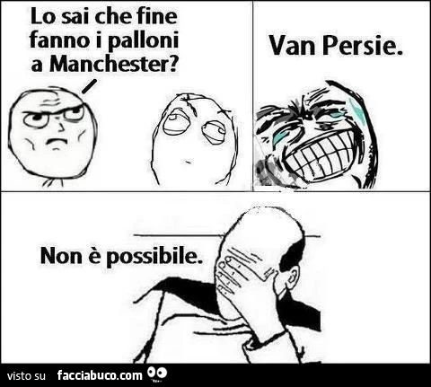lo sai che fine fanno i palloni a manchester? van persie
