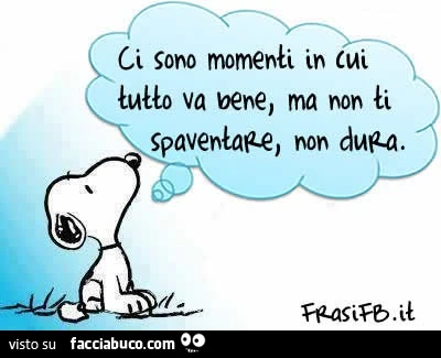 Ci sono momenti in cui tutto va bene, ma non ti spaventare, non dura