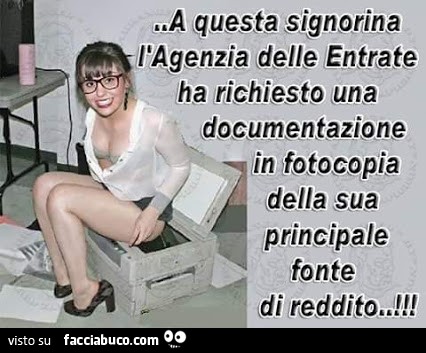 A questa signorina l'agenzia delle entrate ha richiesto una documentazione in fotocopia della sua principale fonte di reddito