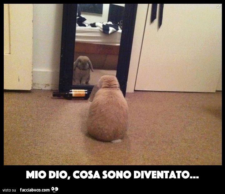 Mio dio cosa sono diventato
