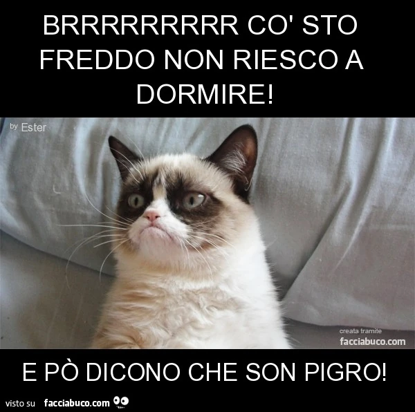 brrrrrrrrr co' sto freddo non riesco a dormire! e pò dicono che son pigro!