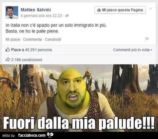 Salvini come Shrek: fuori dalla mia palude