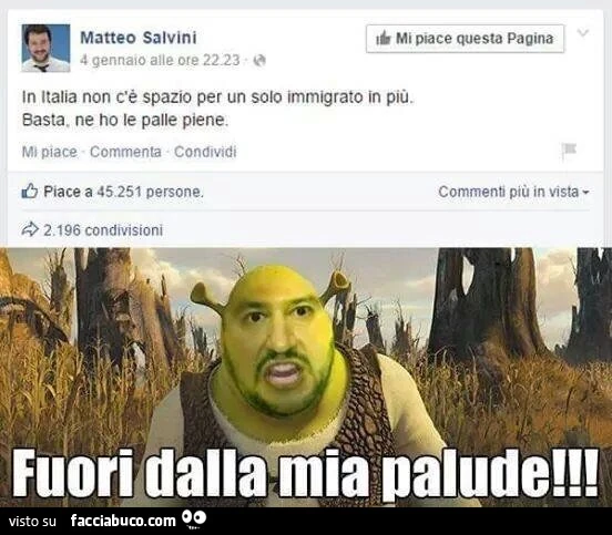 Salvini come Shrek: fuori dalla mia palude