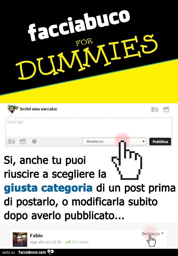 Facciabuco for Dummies: si anche tu puoi riuscire a scegliere la giusta categoria di un post