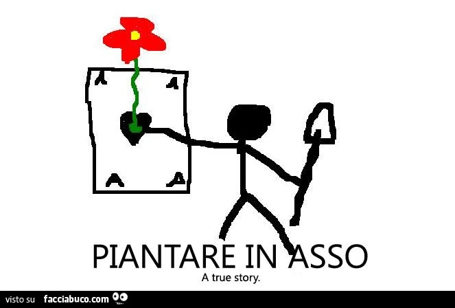 Asso
