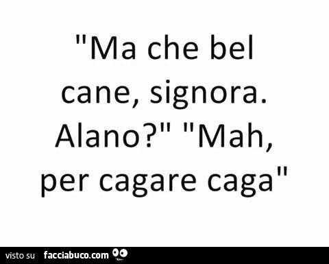 Ma che bel cane, signora. Alano? Mah per cagare caga