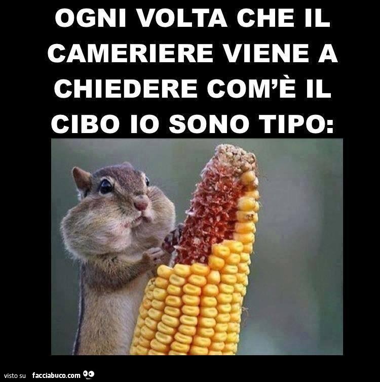 Ogni volta che il cameriere viene a chiedere com'è il cibo io sono tipo: scoiattolo con la bocca piena