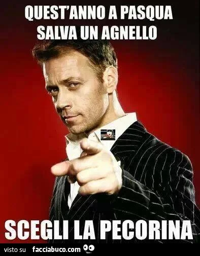 Quest'anno a Pasqua salva un agnello. Scegli la pecorina