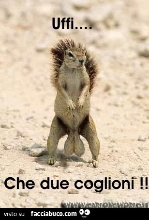 uff che due coglioni!