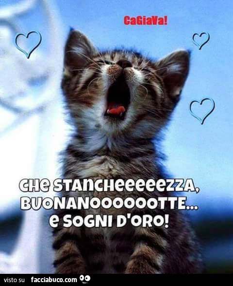 Che stanchezza, buona notte e sogni d'oro