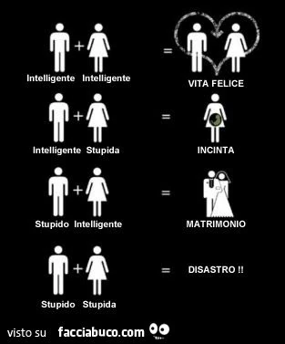uomo intelligente più donna intelligente uguale vita felice altre equazioni