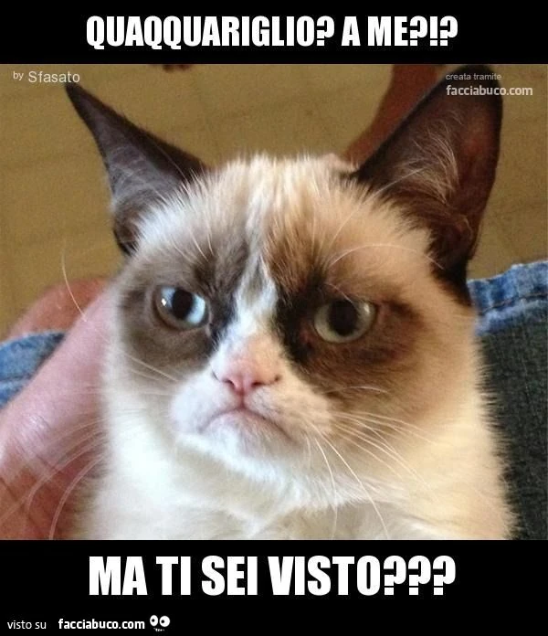 quaqquariglio? a me?!? ma ti sei visto???
