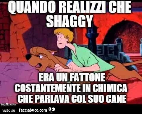 Quando realizzi che Shaggy era un fattone costantemente in chimica che parlava col suo cane