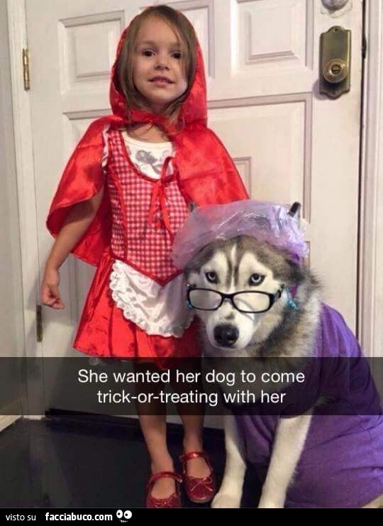 Immagini Stock - Bambina In Costume Da Nonna, Una Vera Famiglia Che Si  Diverte Mentre Indossa I Costumi Della Fiaba Di Cappuccetto Rosso Ad  Halloween. Image 207784634