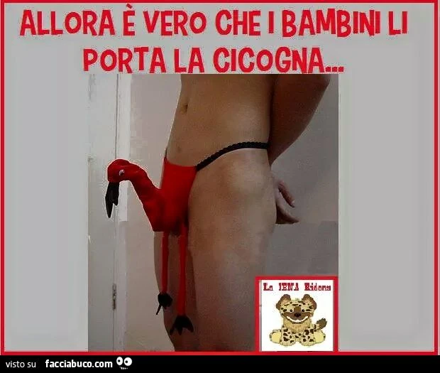 Allora è vero che i bambini li porta la cicogna