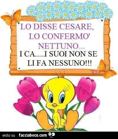 Lo disse Cesare, lo confermò Nettuno. I cazzi suoi non se li fa nessuno