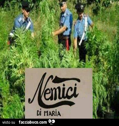 Nemici di Maria