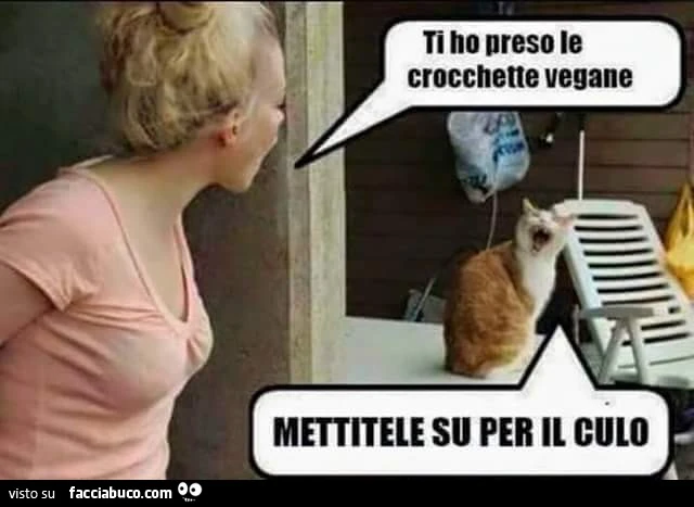 Ti ho preso le crocchette vegane! Mettitele su per il culo