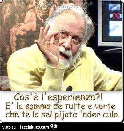 Cos'è l'esperienza? È La somma de tutte e vorte che te la sei pijata nder culo