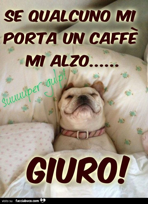 Se qualcuno mi porta un caffè mi alzo. Giuro